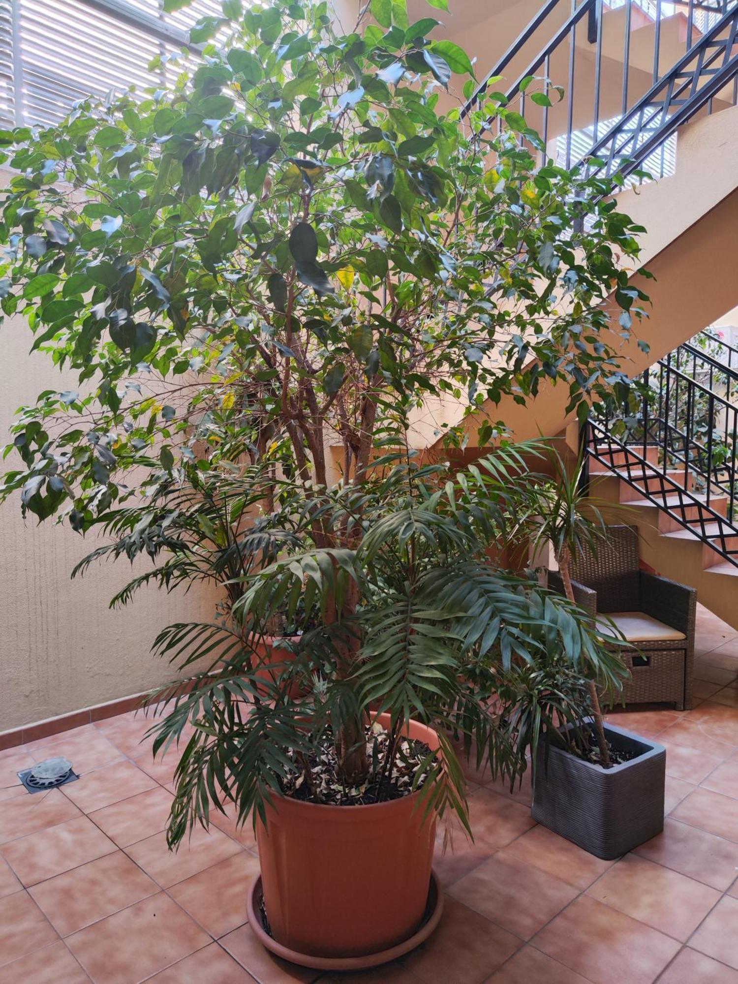 Апартаменты Malaga Experience Экстерьер фото